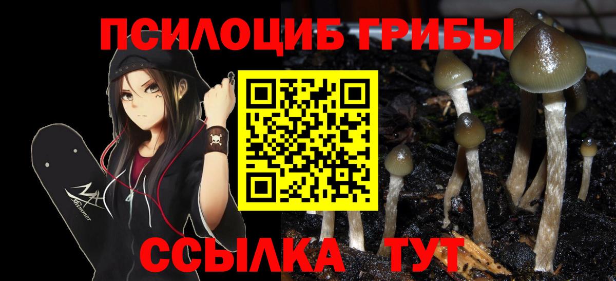 Галлюциногенные грибы Cubensis  Вход с VPN  Сухой Лог  Псилоцибиновые грибы ЛСД 