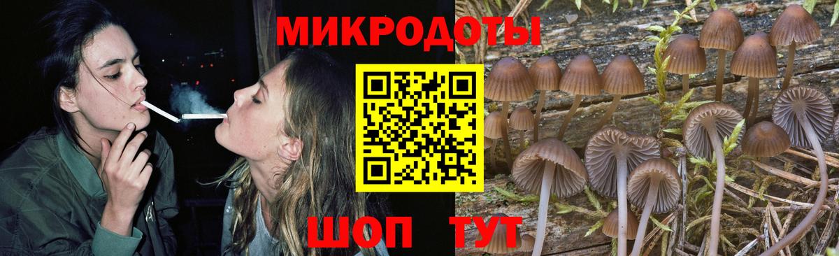 Псилоцибиновые грибы мицелий Сухой Лог